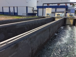 Geneseas Aquacultura Ltda