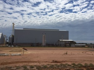 Geneseas Aquacultura Ltda